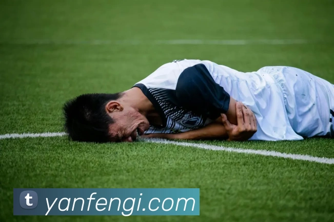 米兰在线登录官网平台生态图